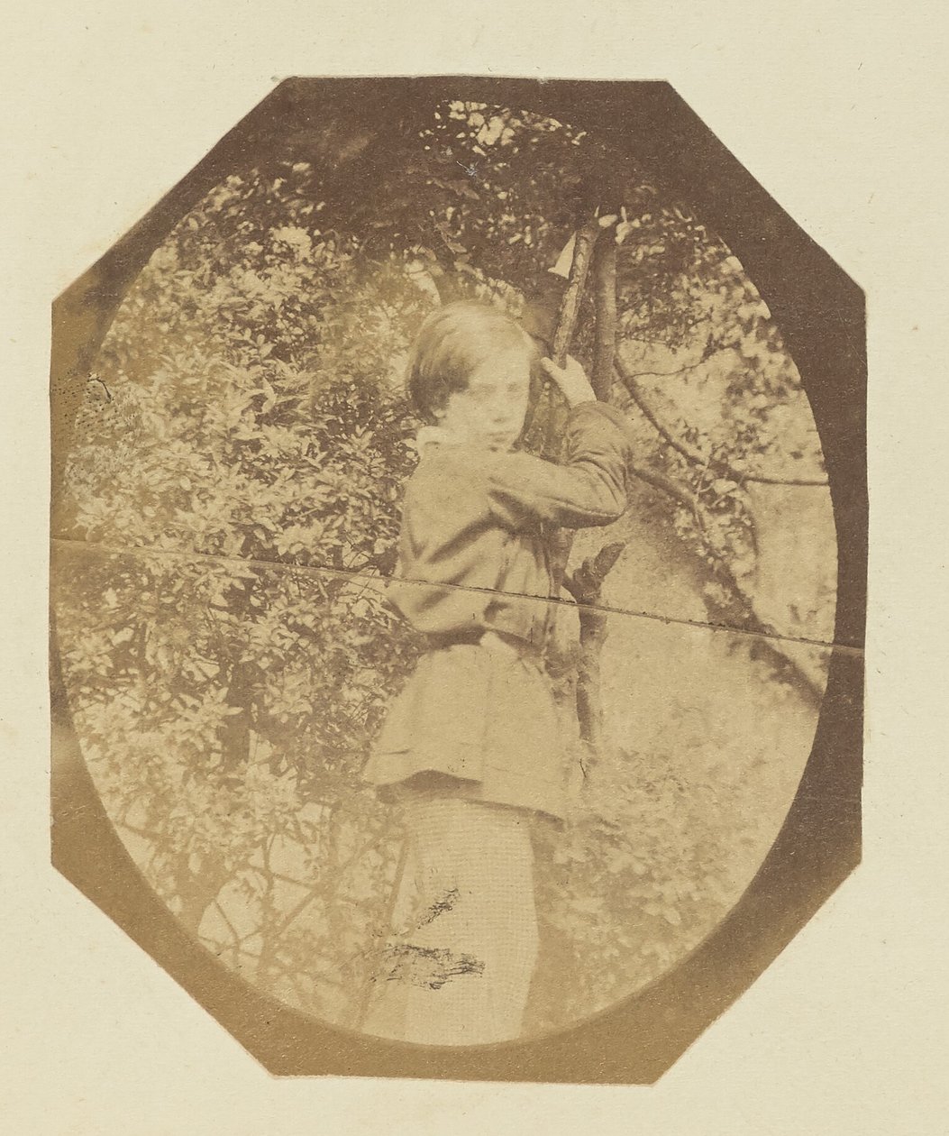 [Portrét mladého chlapce] od Sir John Joscelyn Coghill