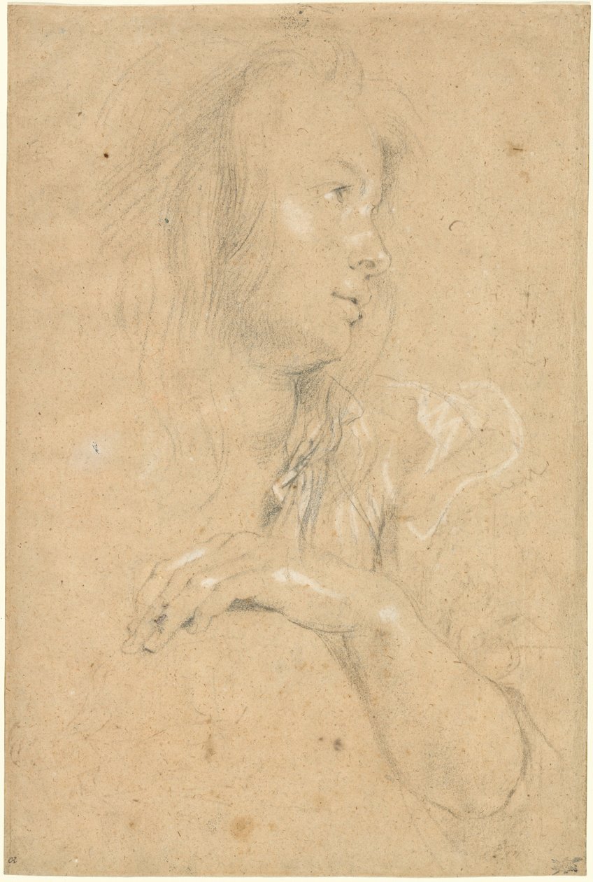 Mladá žena v profilu od Sir Peter Paul Rubens