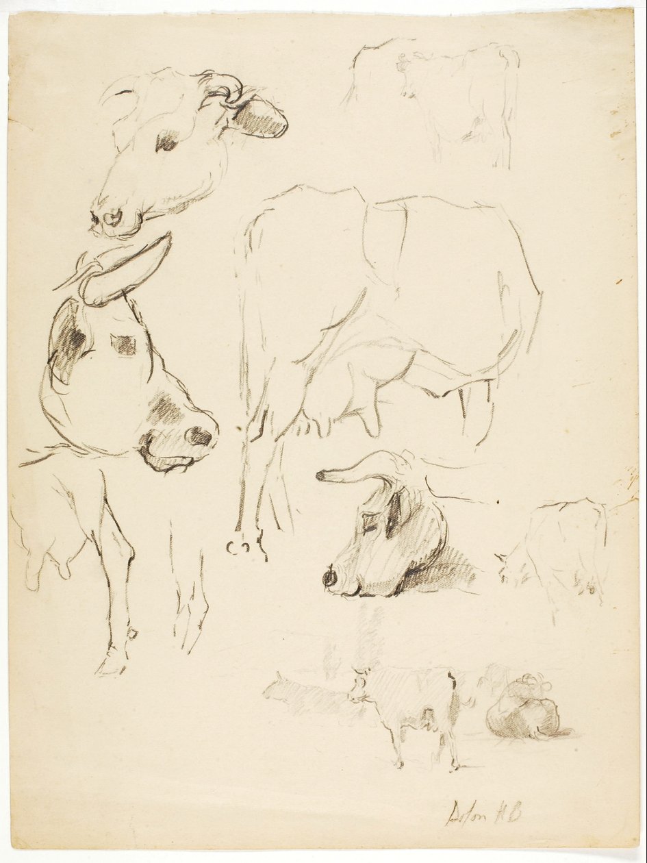 Krávy od Solon H. Borglum