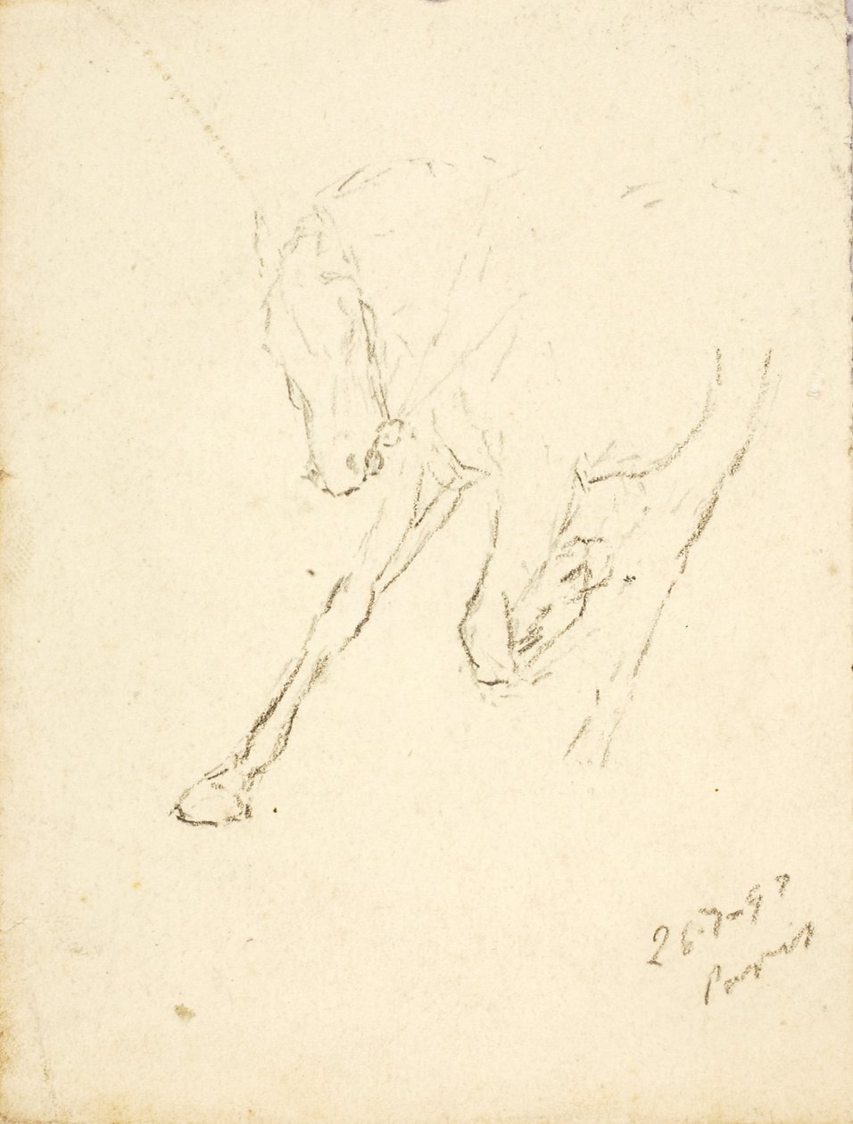 Koně od Solon H. Borglum
