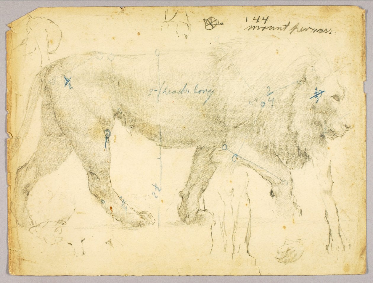 Lion od Solon H. Borglum