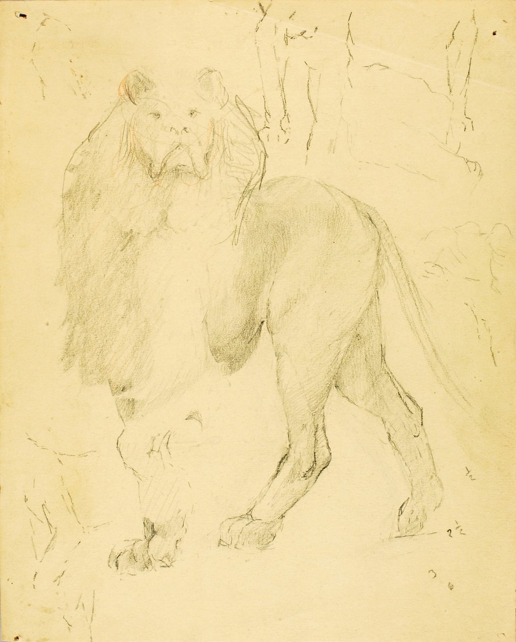 Lion od Solon H. Borglum