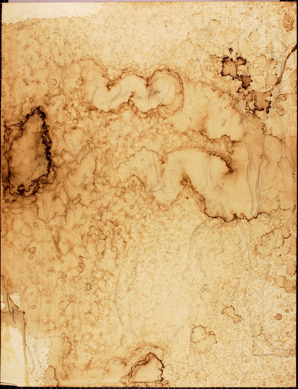 Akty od Solon H. Borglum