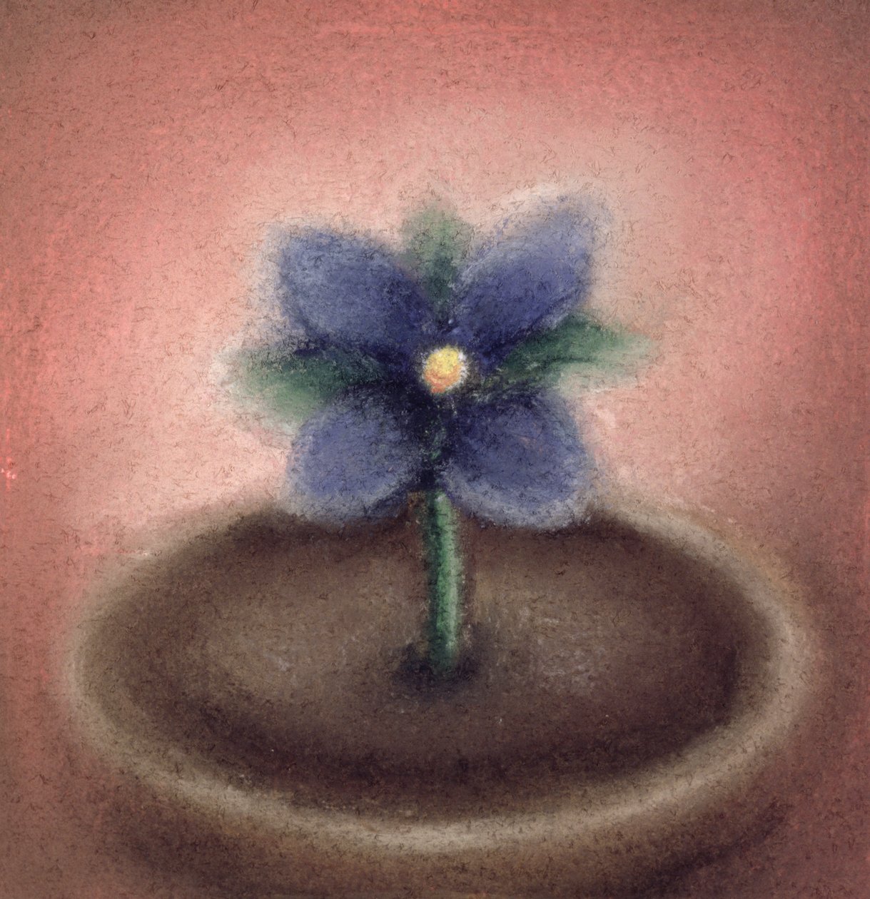 Kytička (pastel na papíře) od Sophie Hacker