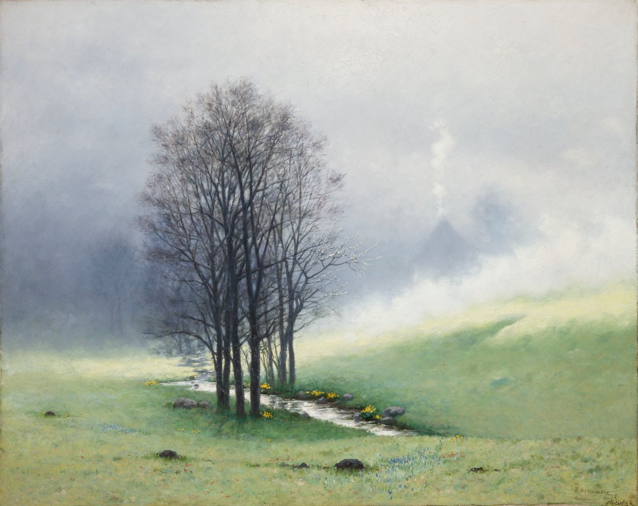 Jarní mlha od Stanislaw Ignacy Witkiewicz