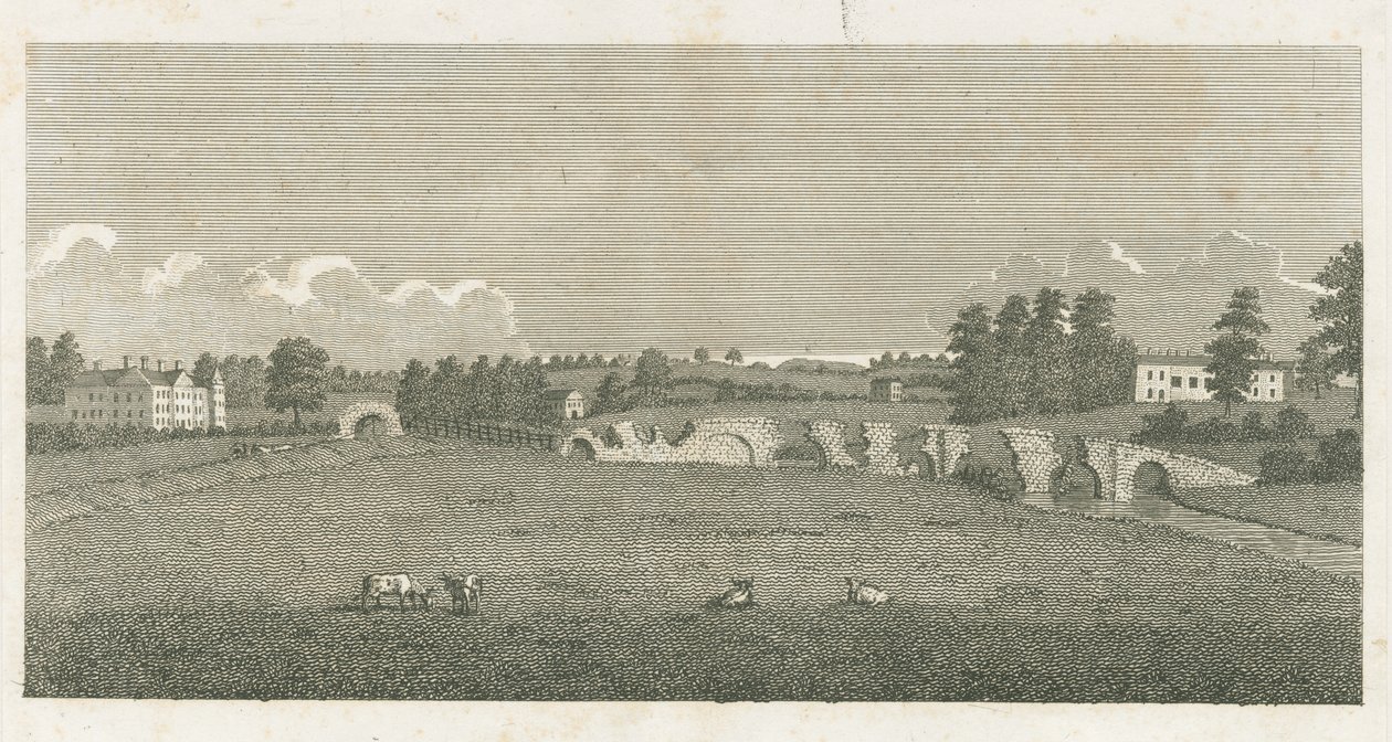 Wolseley Bridge: rytina od Stebbing Shaw