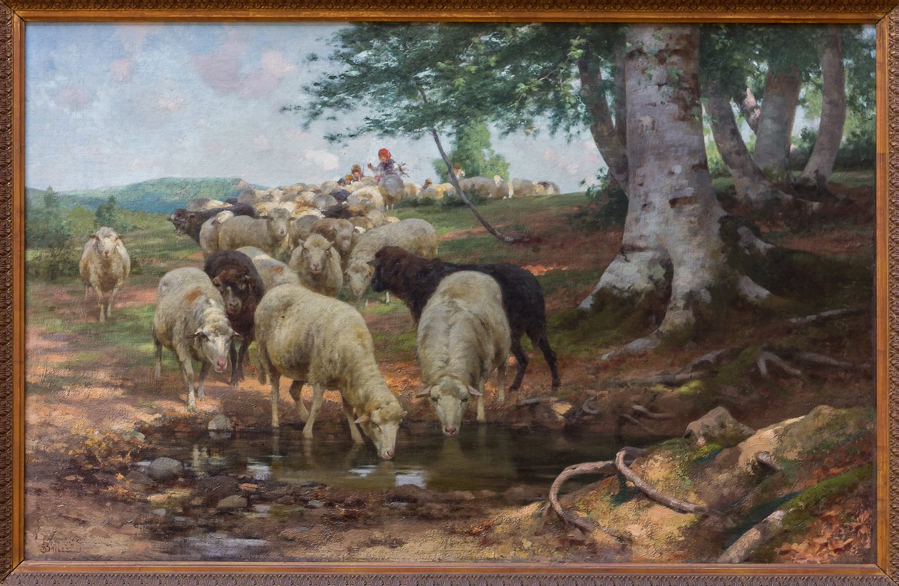 Jaro od Stefano Bruzzi