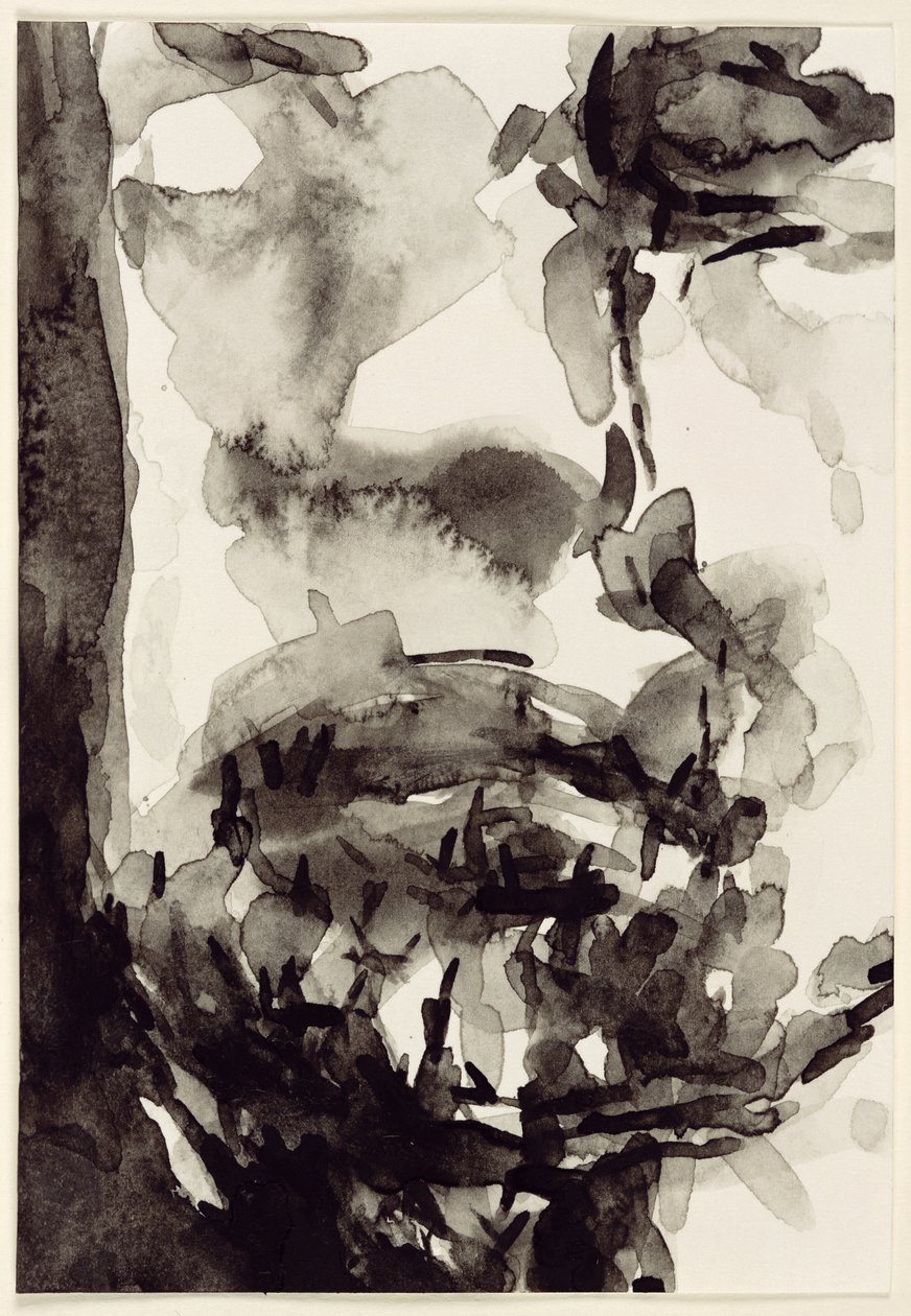 Face, 2001 (wc na papíře) od Stephen Finer