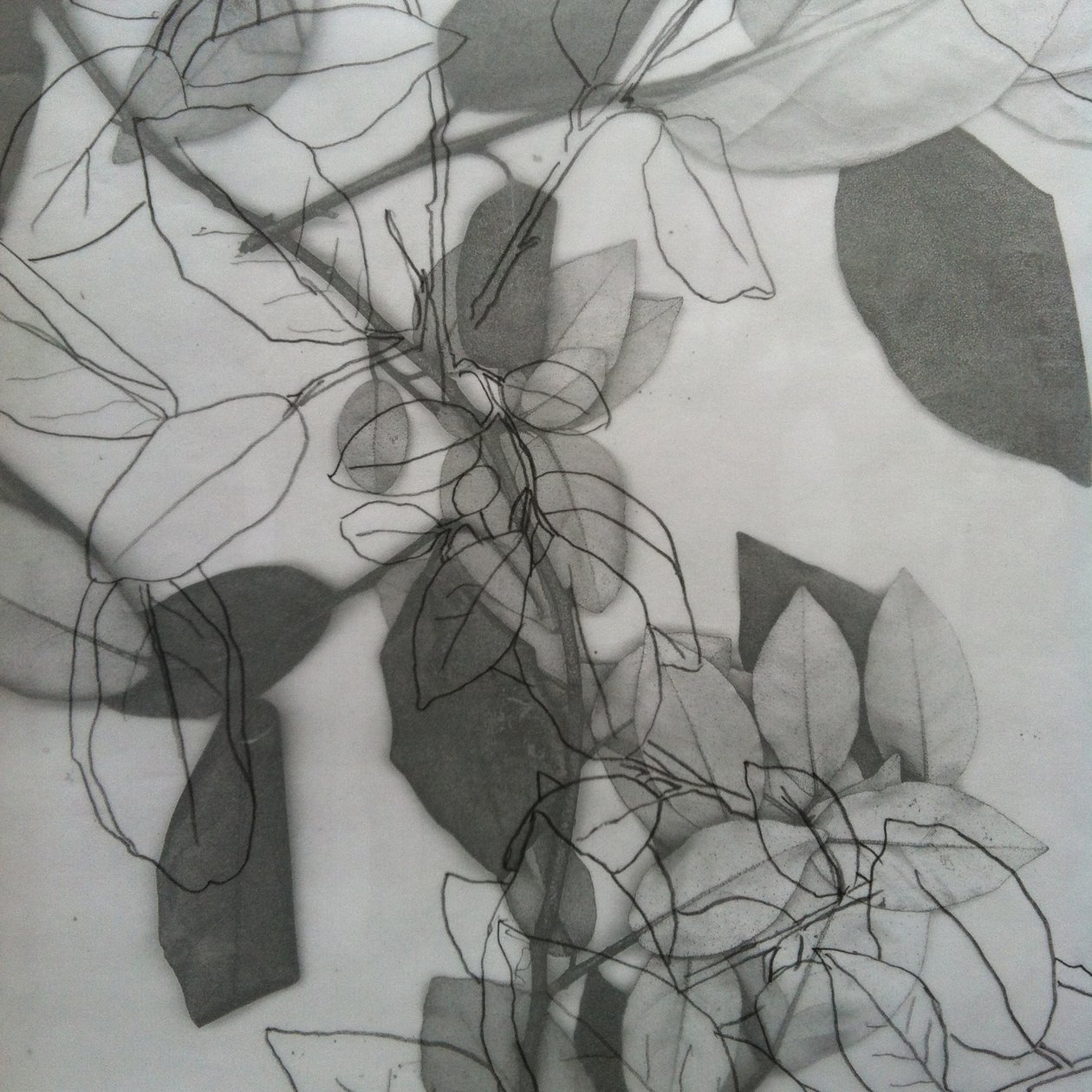 Botanical, 2014 (digitální) od Stephen Dow