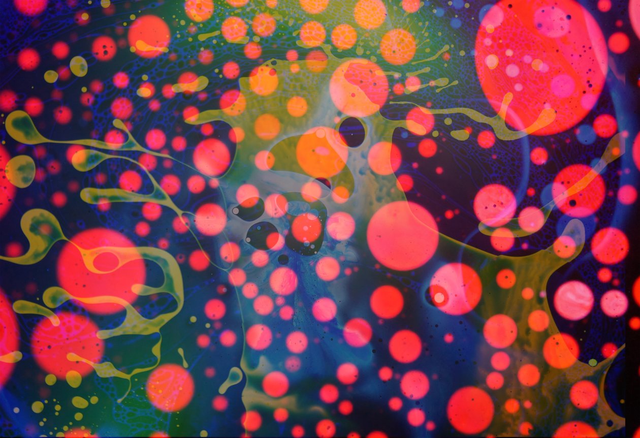 Splatter Monster, 2024 od Steve Pavlovsky