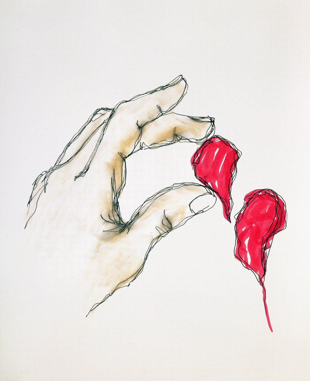 A Piece of Your Heart, 1996 (pero a wc na papíře) od Stevie Taylor
