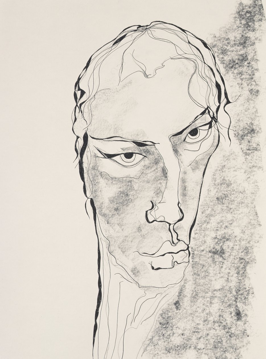 Donna Dee, 1998 (inkoust a tužka na papíře) od Stevie Taylor