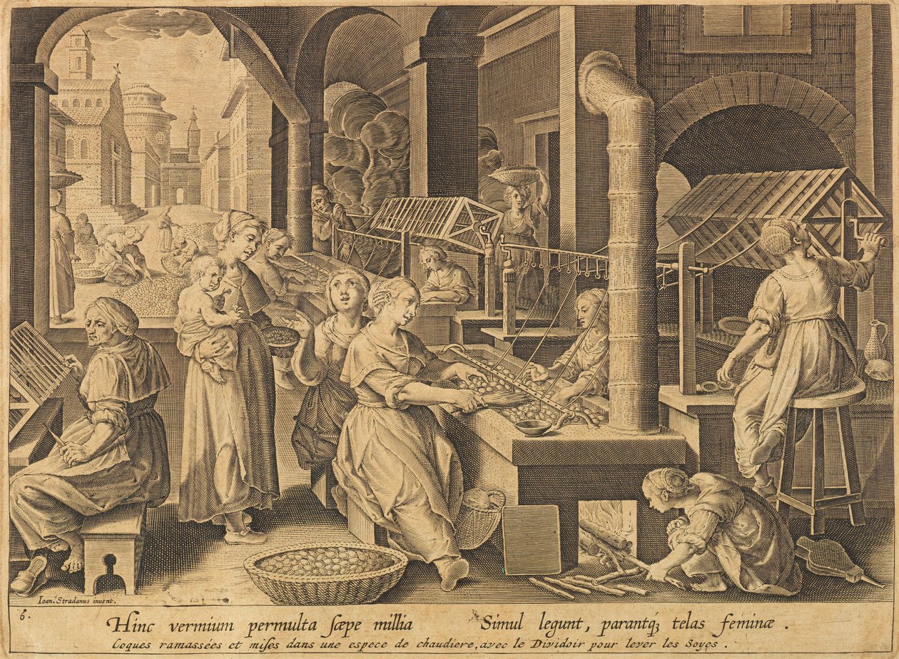 Extrakce hedvábí Vermis sericus, po roce 1640. od Stradanus