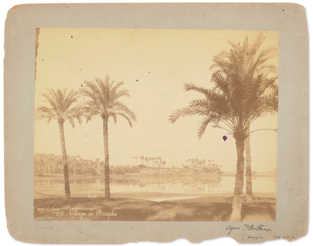Vesnice Memphis, Egypt, asi 1898-1920 (čb fotografie) od Studios Tiffany