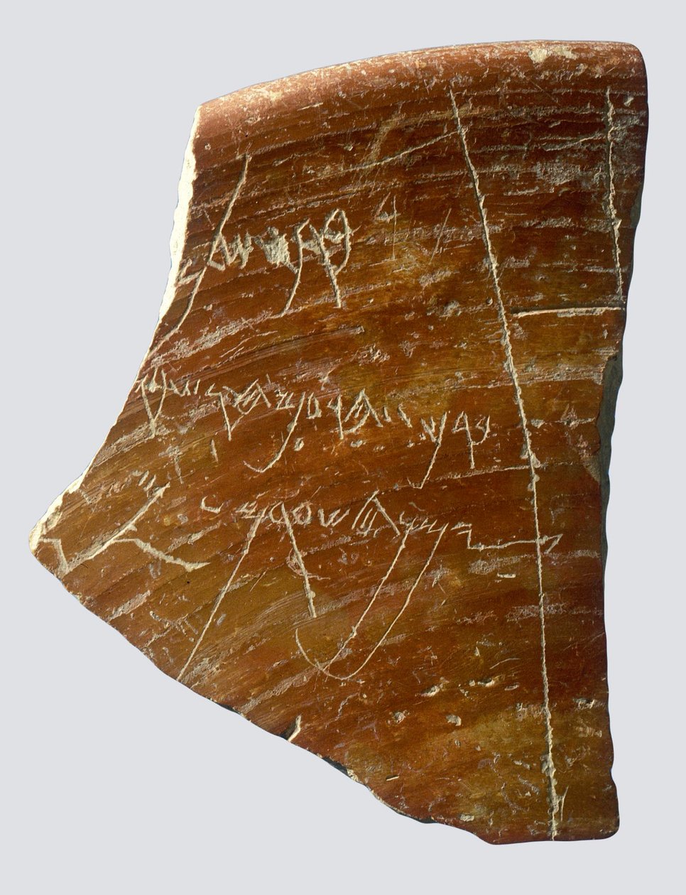 Fragment s hebrejským nápisem, Samaria (keramika) od Sumerian