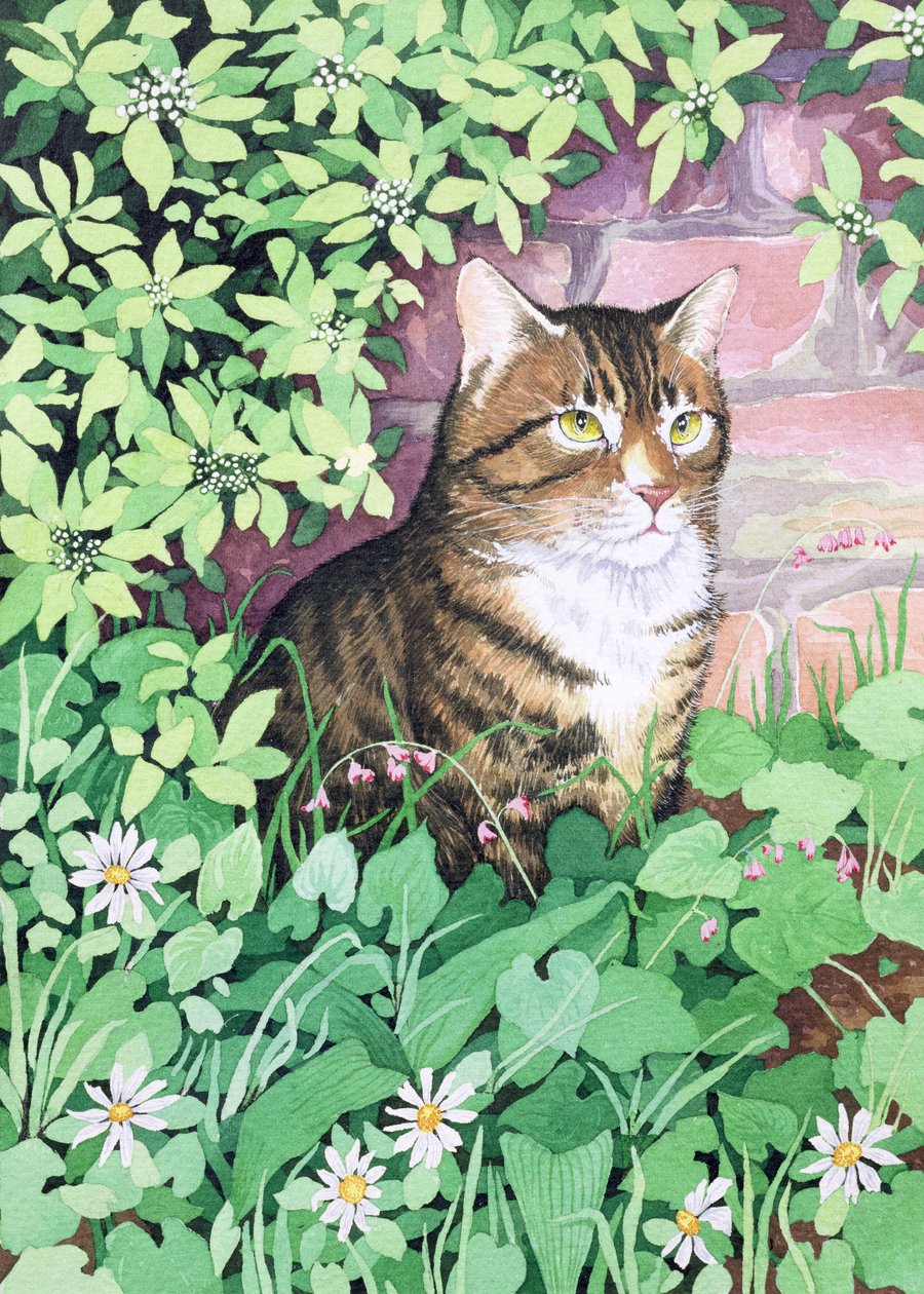 Jackies Cat (zahradní design) od Suzanne Bailey