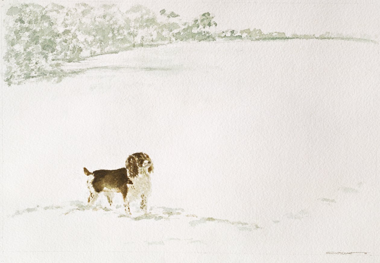 Springer Spaniel ve sněhu od Suzi Kennett