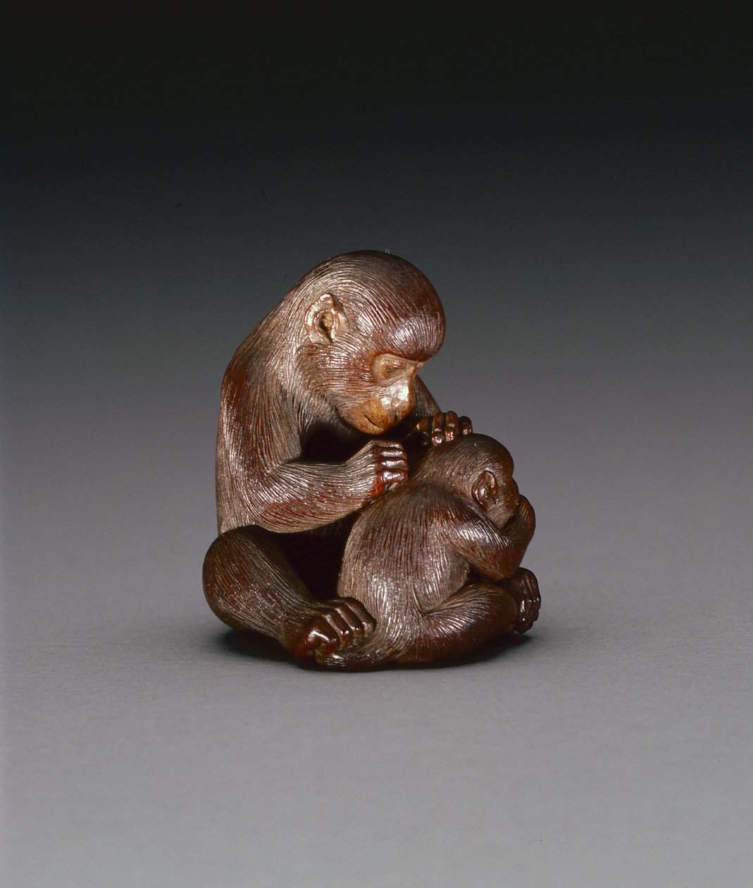 Netsuke zobrazující matku opice a jejího syna, kolem 1880-1900 (dřevo) (reverzní viz 208393) od Suzuki Tokuku