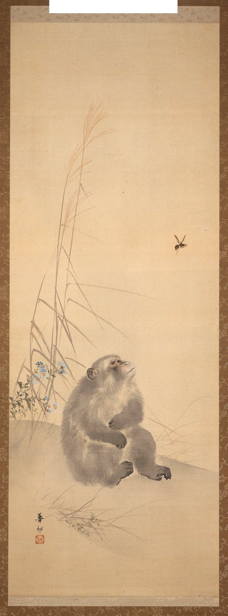 Vy od Suzuki Kason