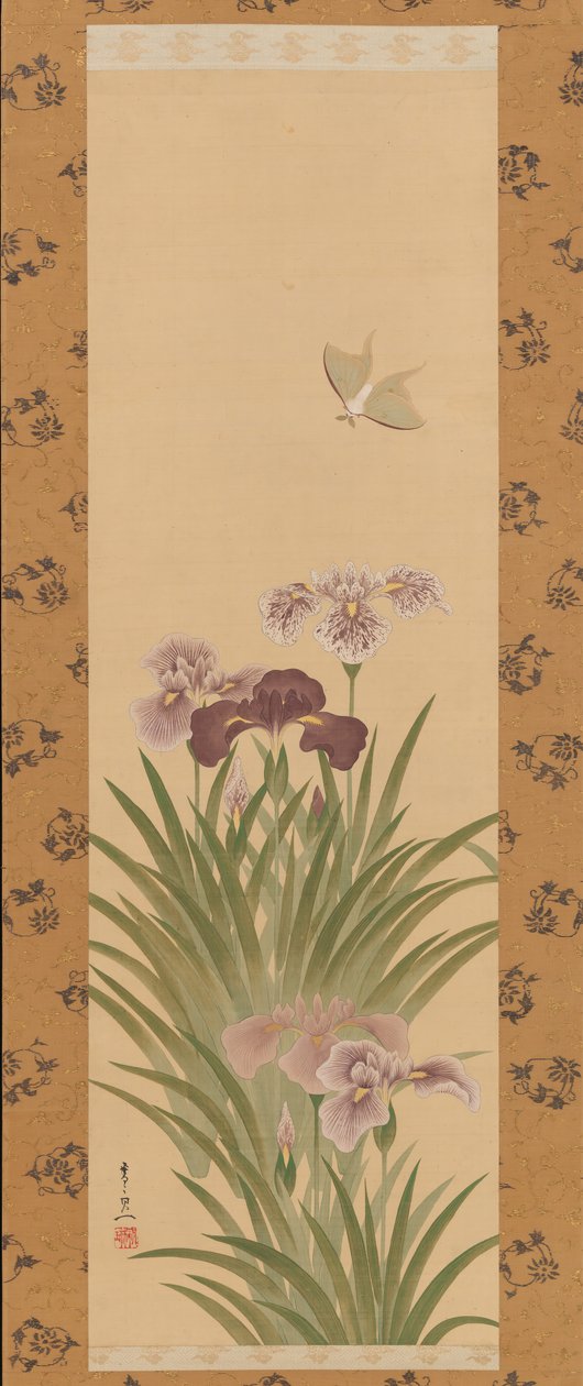 Kosatce a můra, ca. 1850. od Suzuki Kiitsu