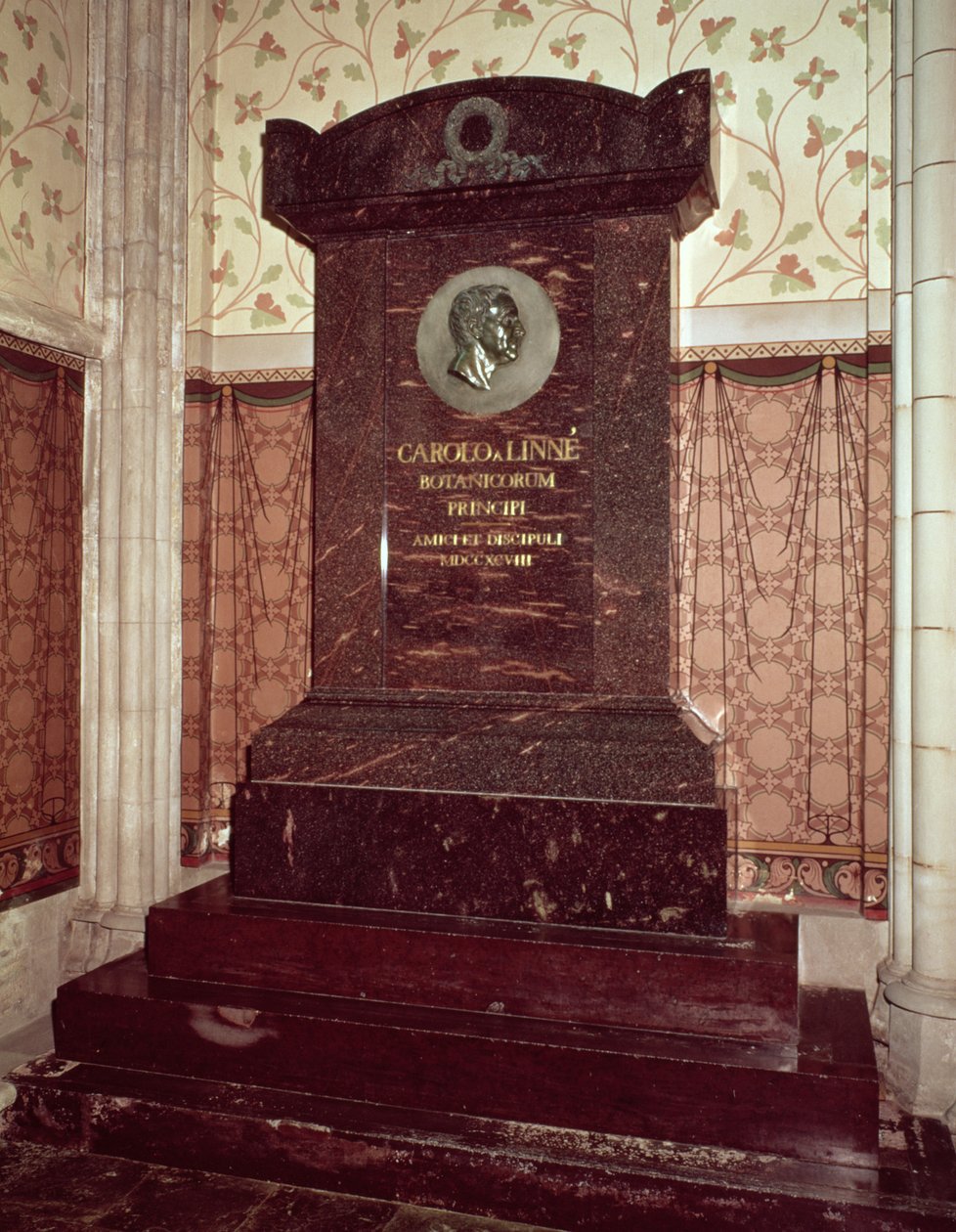 Hrobka Carla Linného (1707-78) od Swedish School
