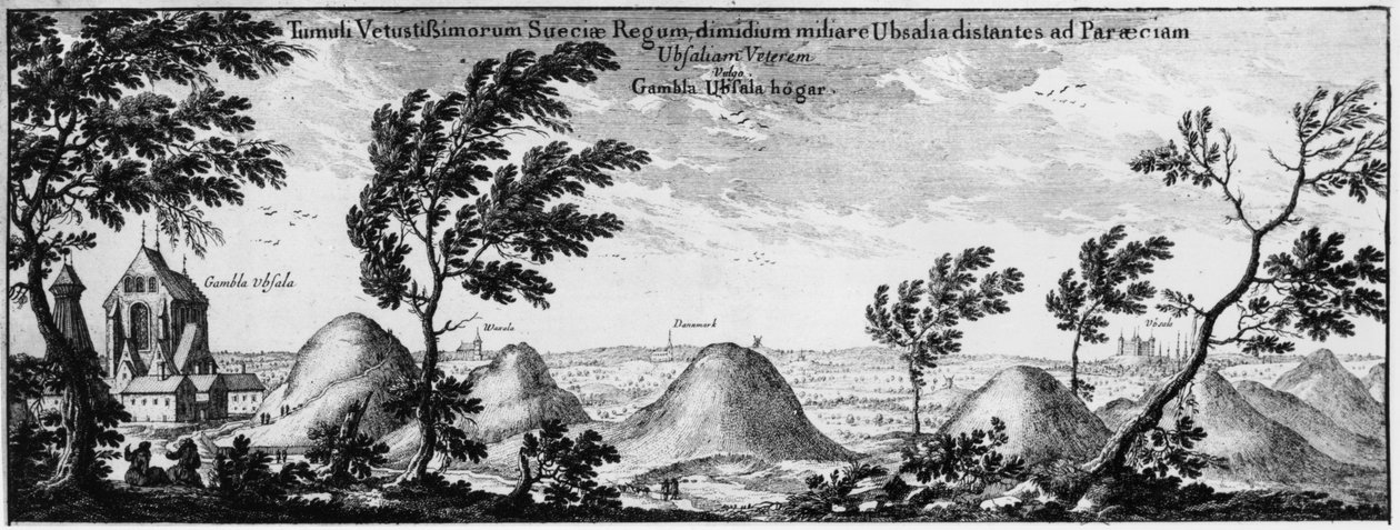 Mohyly v Uppsale, Švédsko od Swedish School
