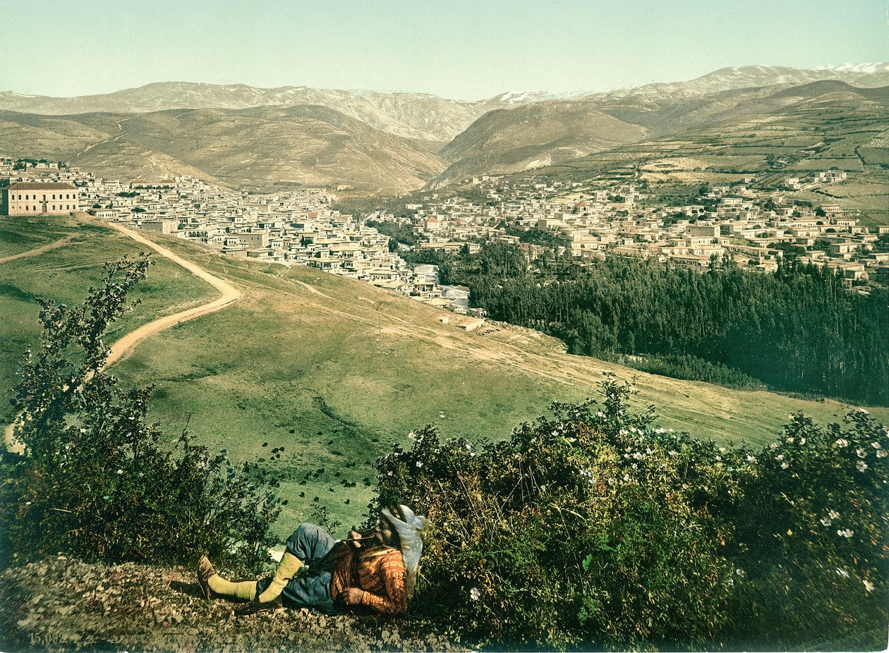 Zahleh, Anti-Libanon, kolem 1880-1900 (fotochrom) od Swiss Photographer
