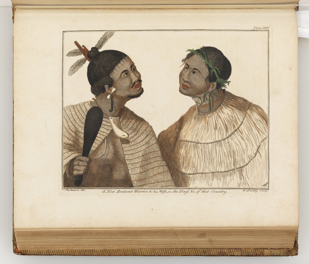 Novozélandský válečník a jeho manželka, ilustrace z Deník z plavby do jižních moří: na lodi Jeho Veličenstva, Endeavour, 1794 (ručně kolorovaná rytina) od Sydney