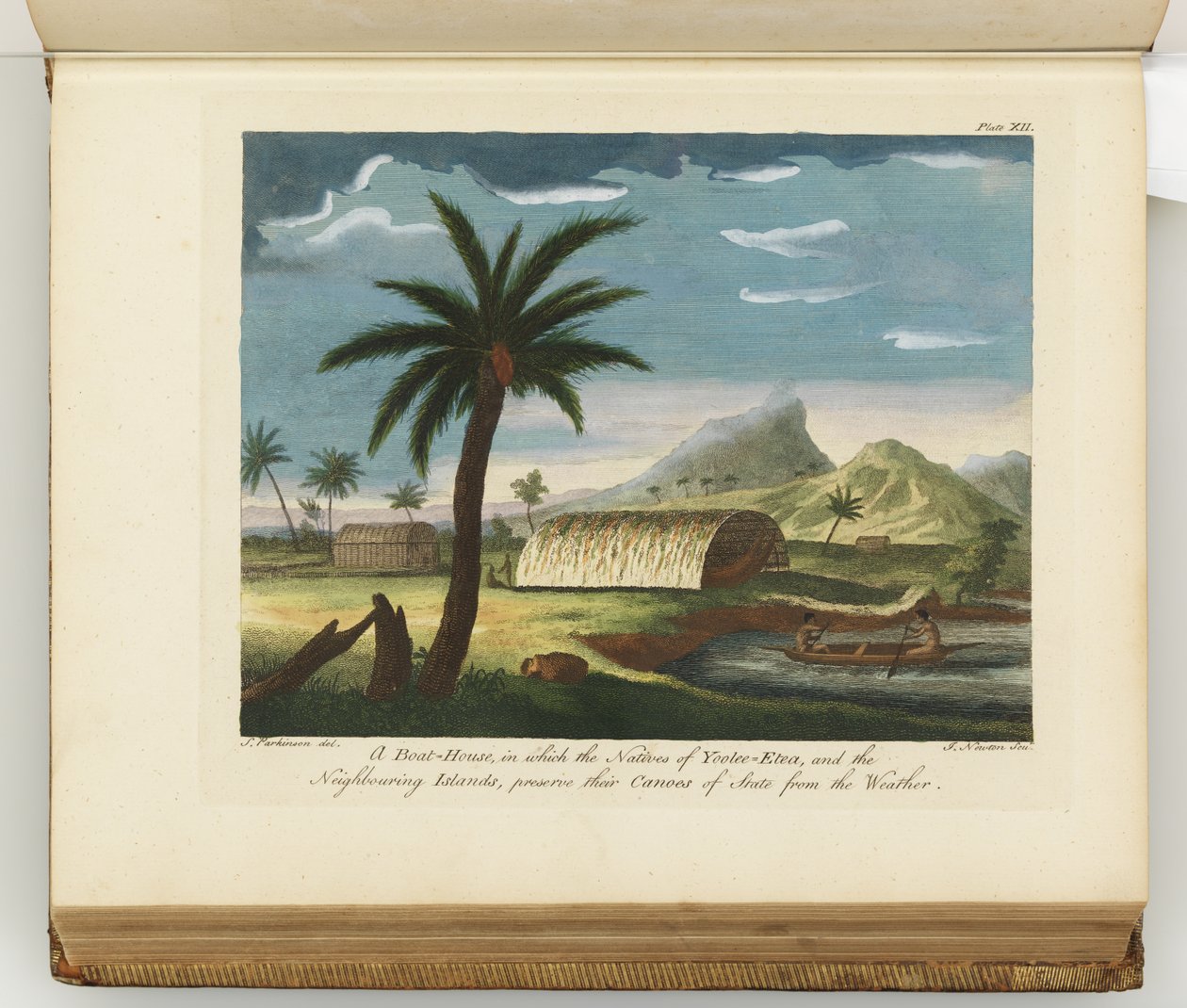 Ilustrace z deníku plavby do jižních moří: na lodi Jeho Veličenstva, Endeavour, 1794 (ručně kolorovaná rytina) od Sydney