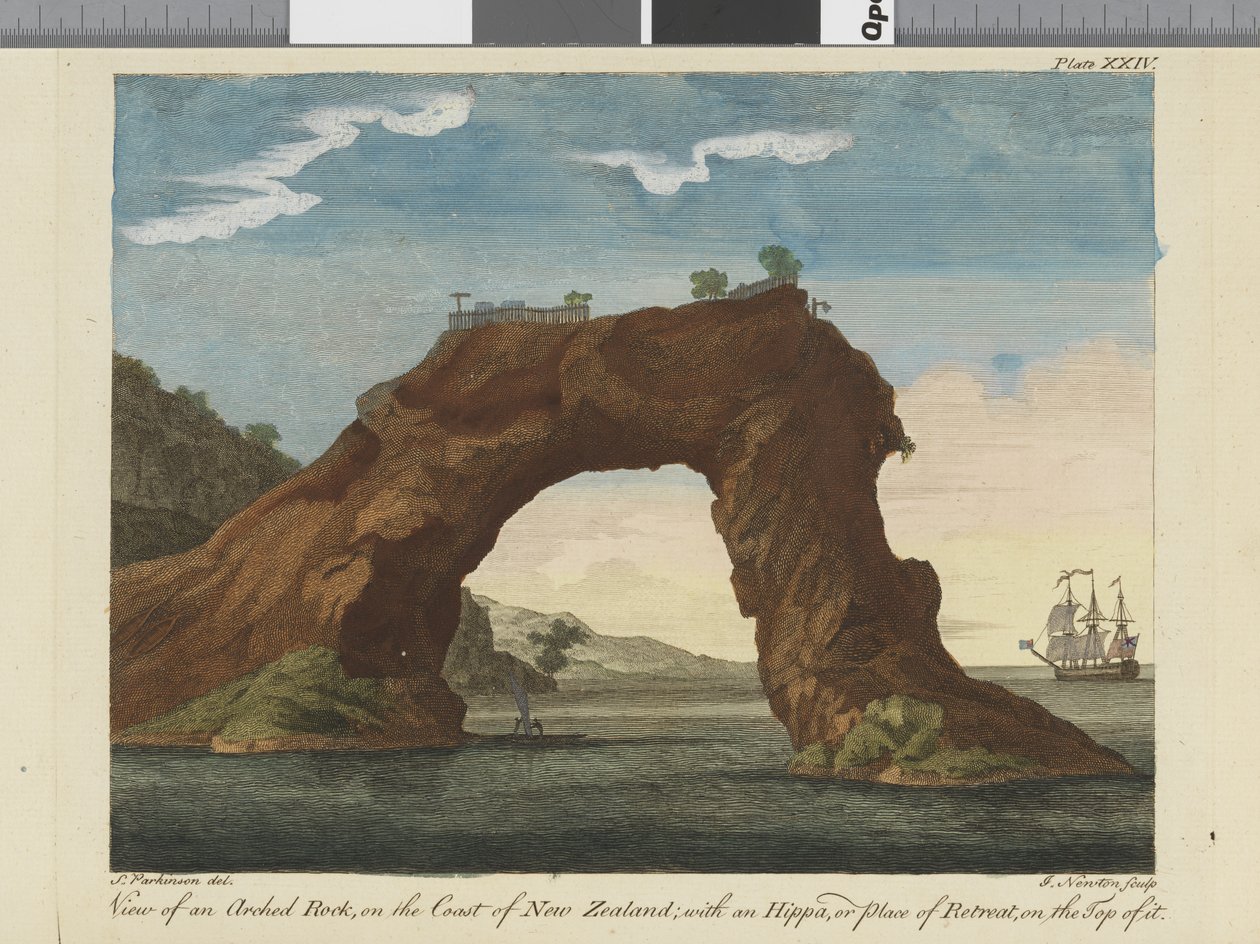 Pohled na klenutou skálu, ilustrace z Deník z plavby do jižních moří: na lodi Jeho Veličenstva, Endeavour, 1794 (ručně kolorovaná rytina) od Sydney