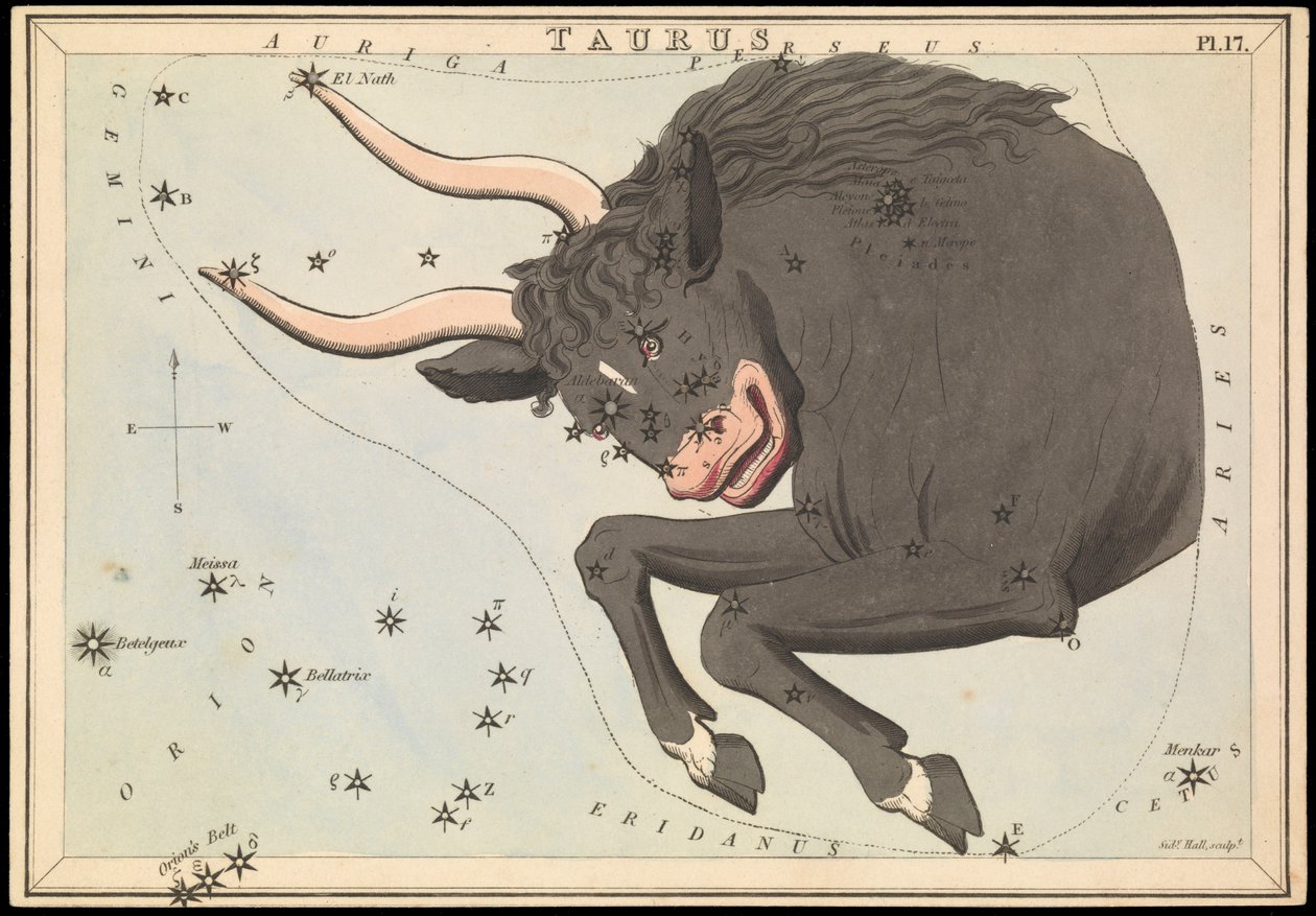 Taurus, asi 1825 (karta, papír, tkanivo ) od Sydney Hall