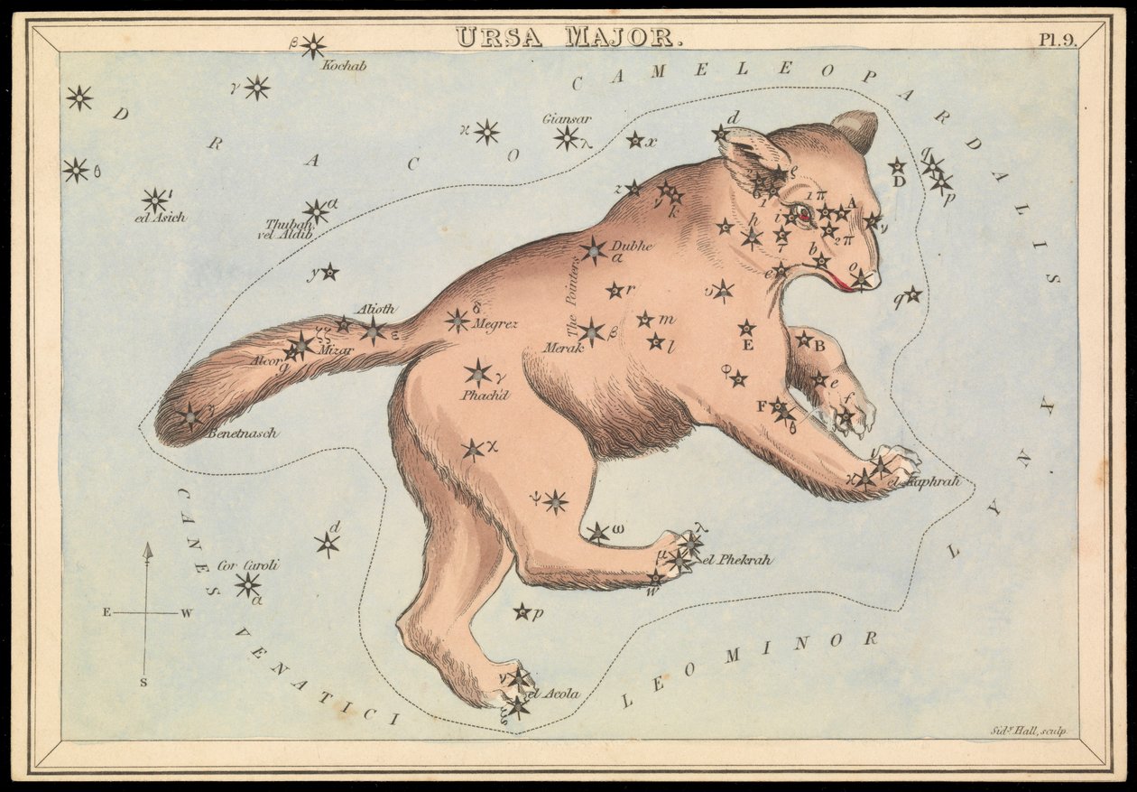 Ursa Major, asi 1825 (karta, papír, tkanivo) od Sydney Hall