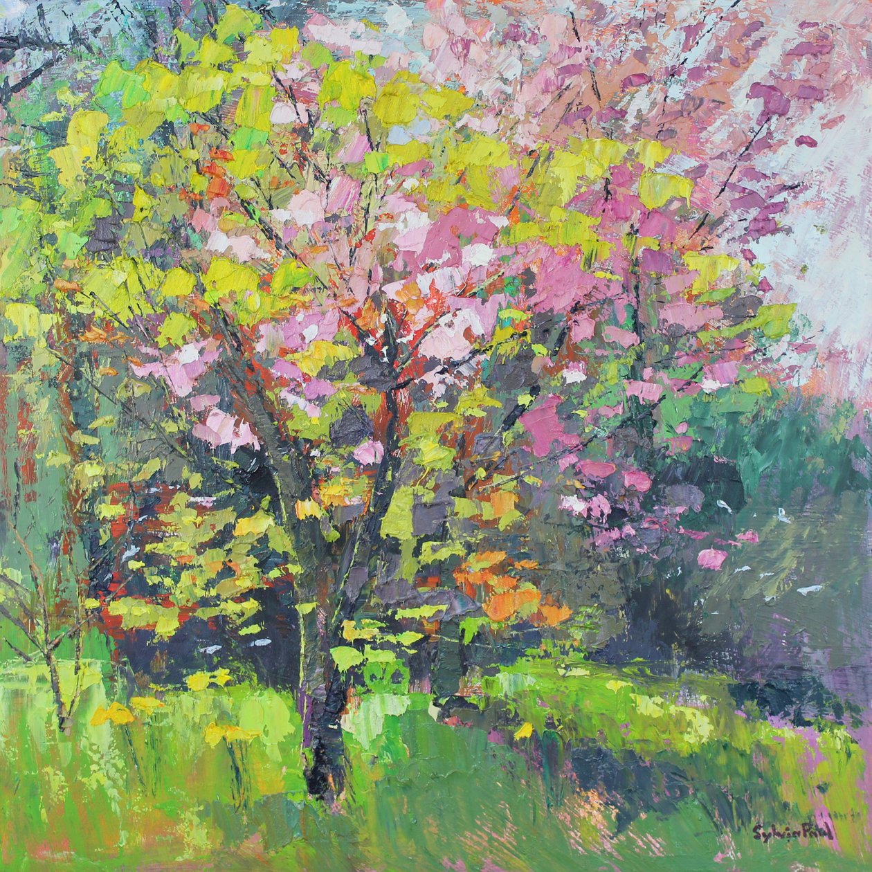Blossom Delight od Sylvia Paul