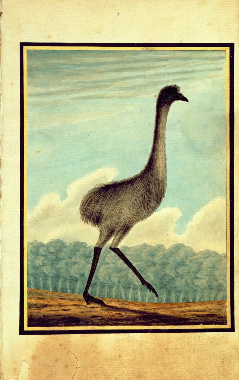 The Emue (sic), 1813 od T.R. Browne