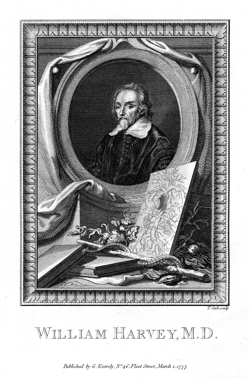 William Harvey, lékař, 1777. od T. Cook