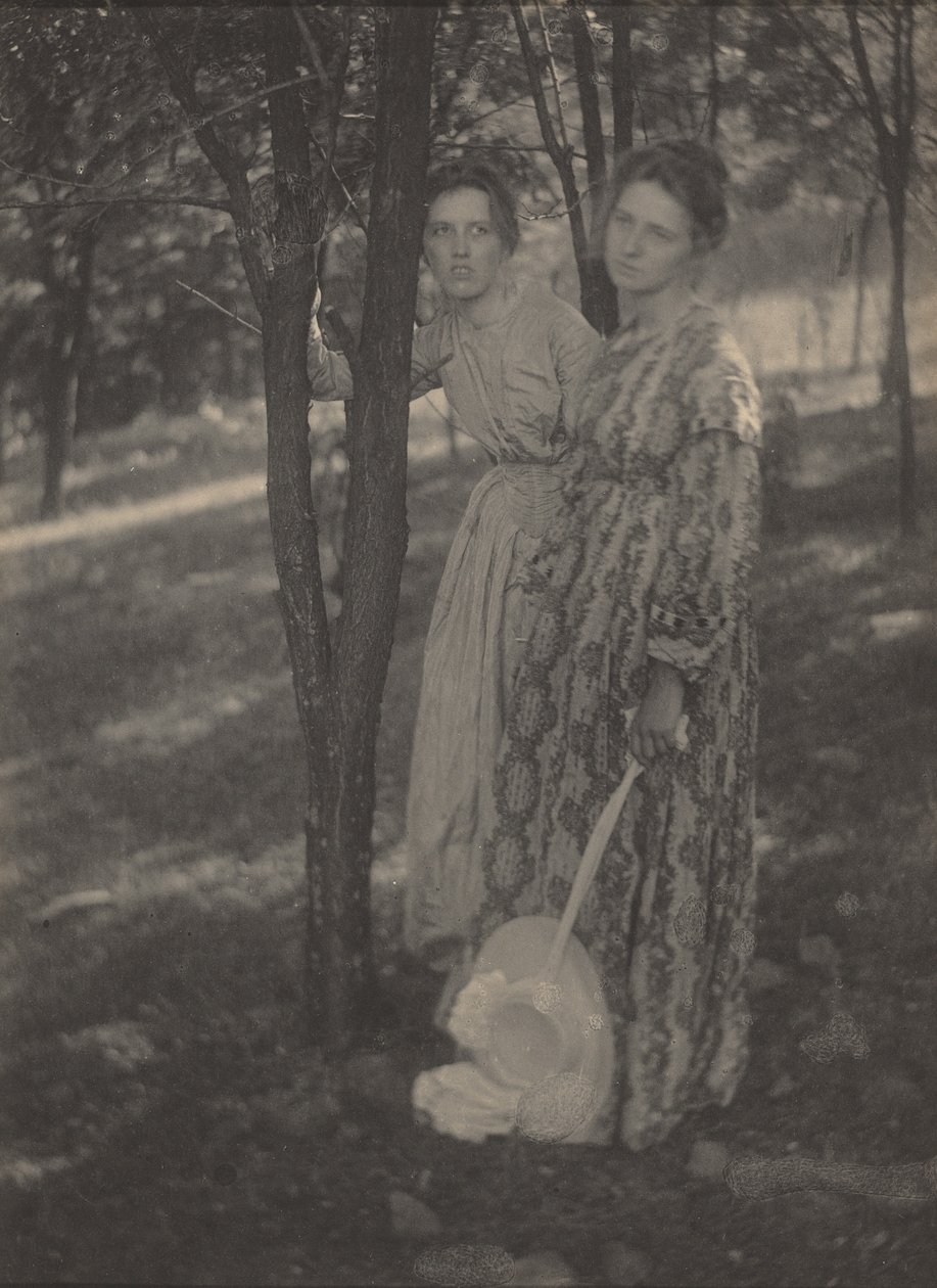V lesích,c. 1899 (foto) od T. M. Edmiston
