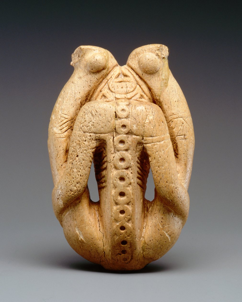 Cohiba Inhaler (manatee kost) od Taino Culture
