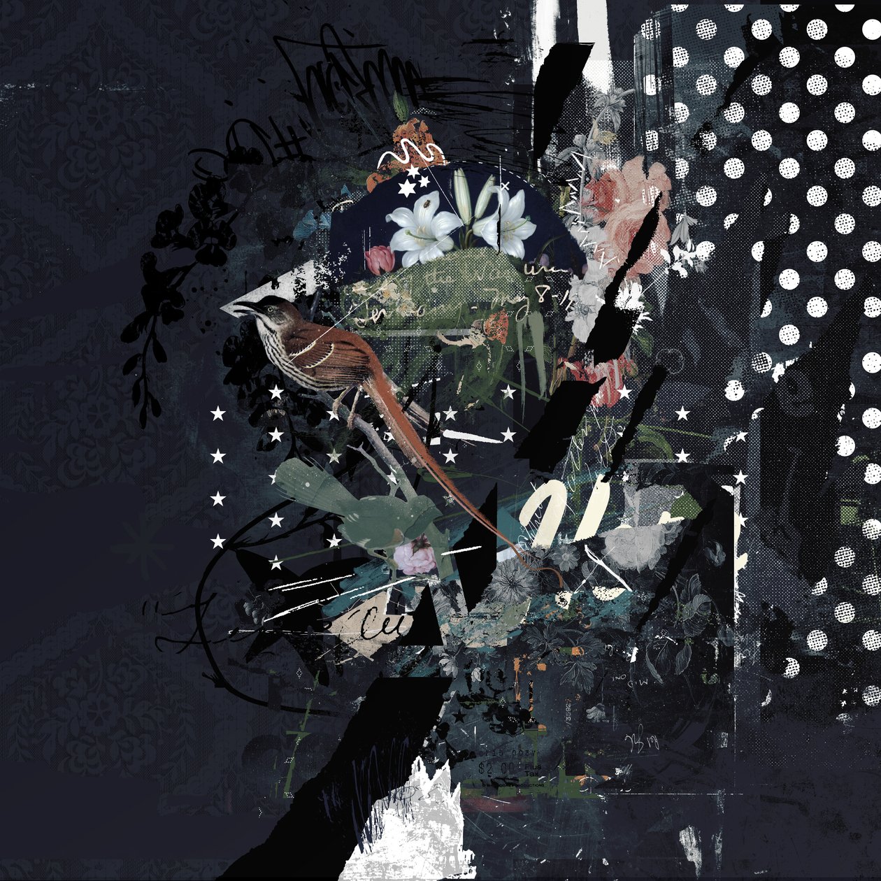 Floralbirds, 2017 (koláž na plátně) od Teis Albers