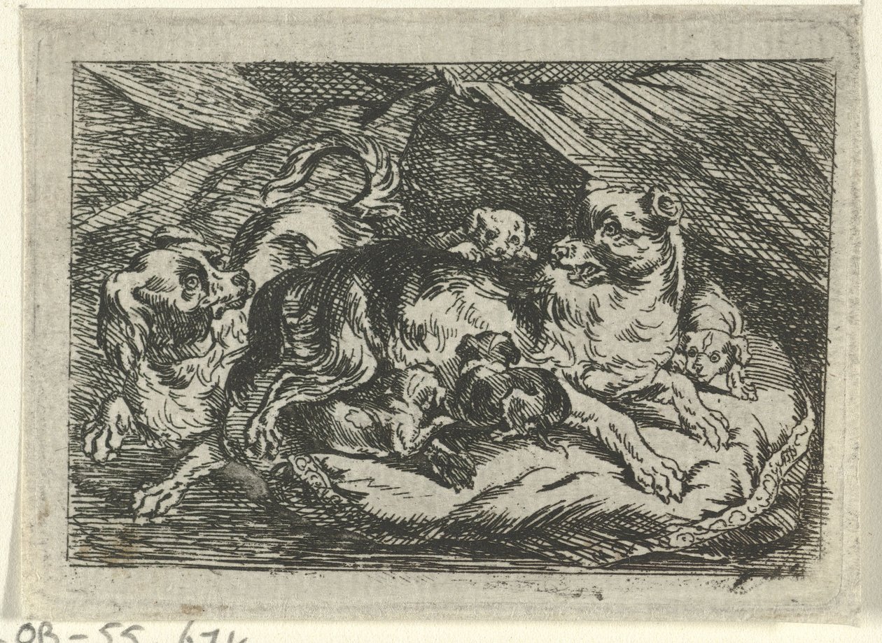 Vrh s mladými psy od Tethart Philip Christian Haag