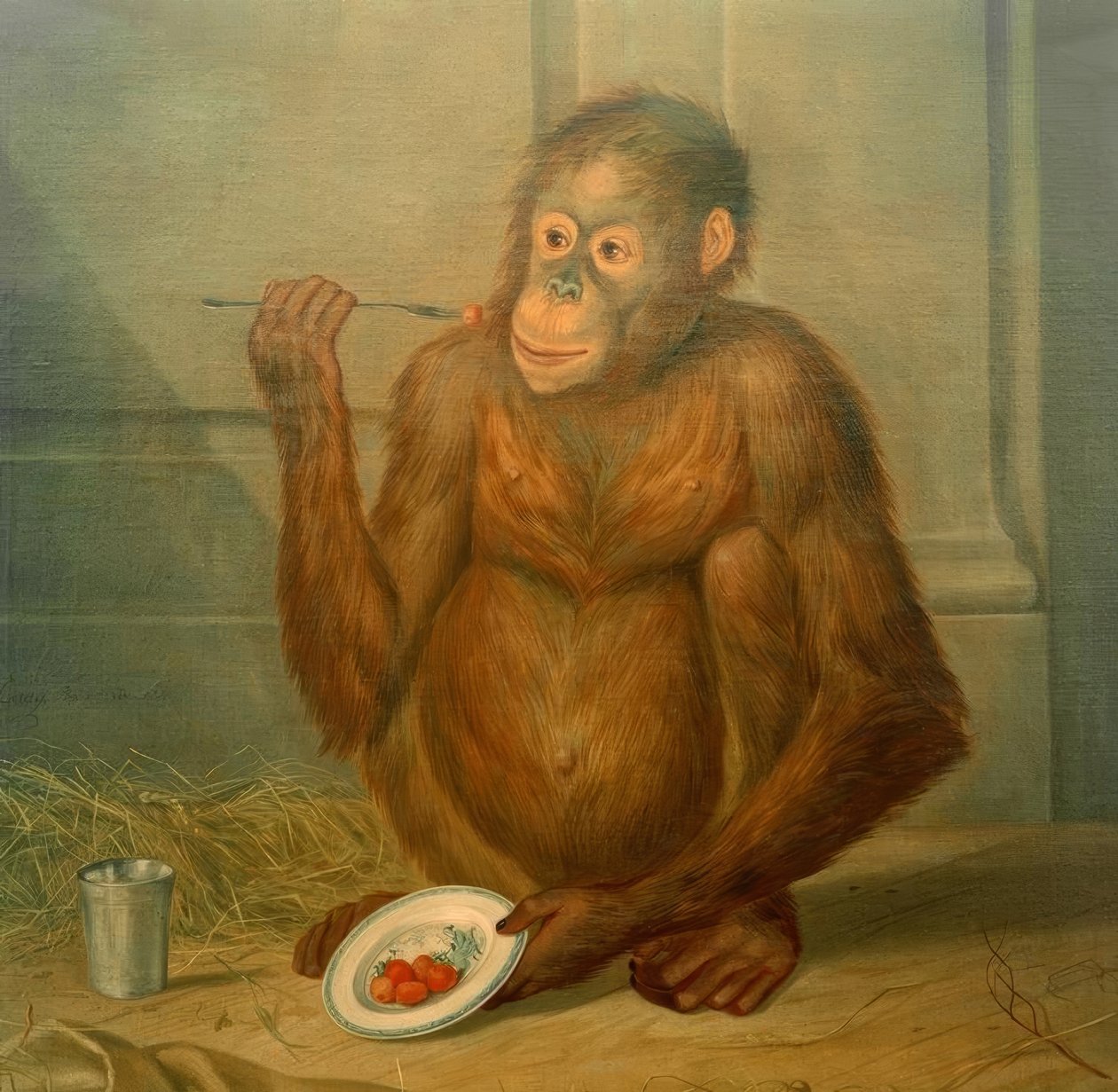Orangutan, který jí jahody od Tethart Philipp Christian Haag