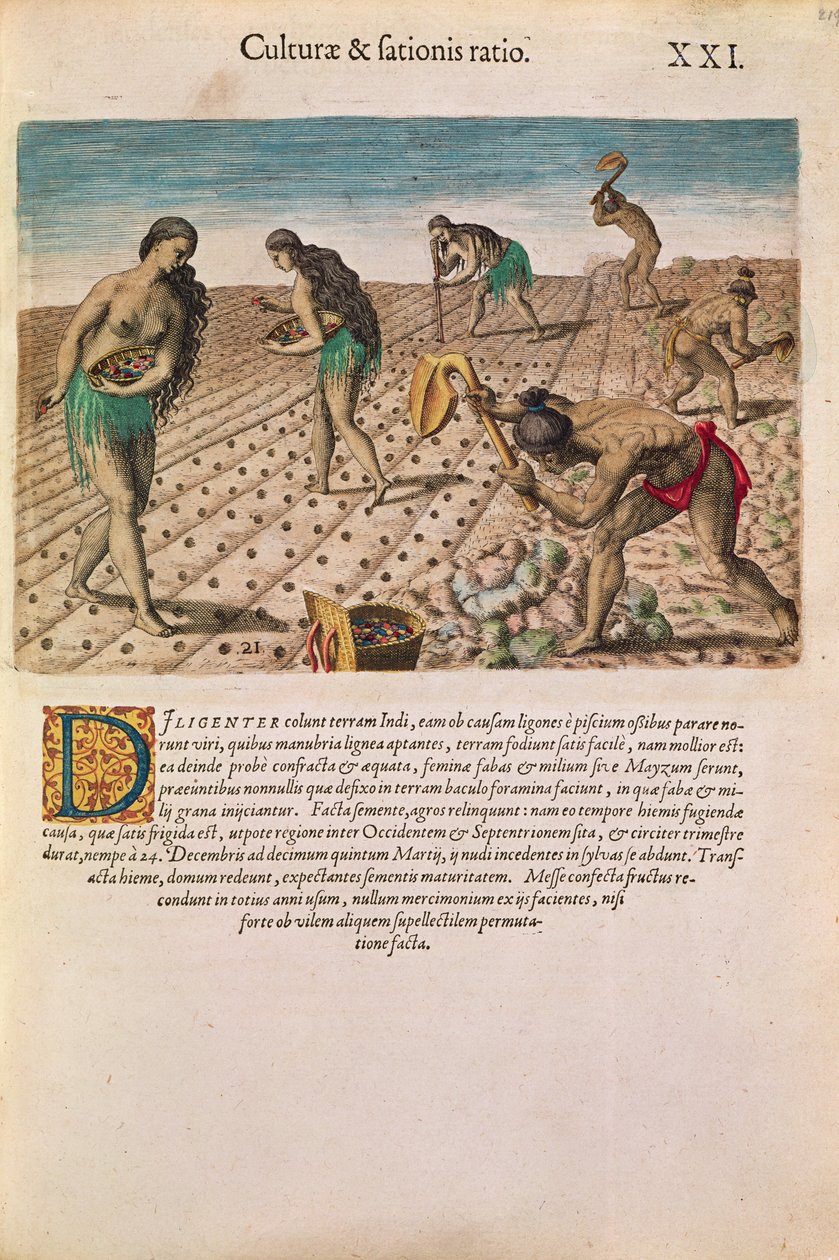 Indiáni z Floridy sázející kukuřici, z „Brevis Narratio...“, vydané Theodorem de Bry, 1591 (viz také 111671) od after Le Moyne, J.Bry