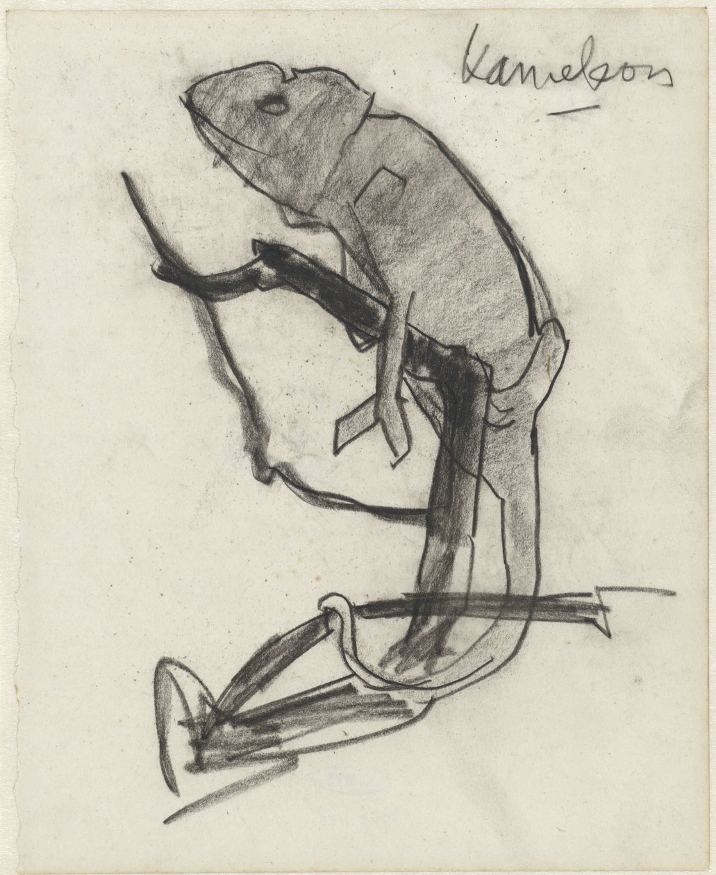 Chameleón od Theo Nieuwenhuis