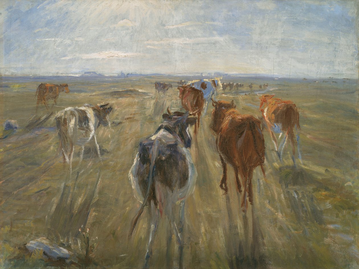 Dlouhé stíny. Dobytek na ostrově Saltholm, c. 1890 od Theodor Esbern Philipsen