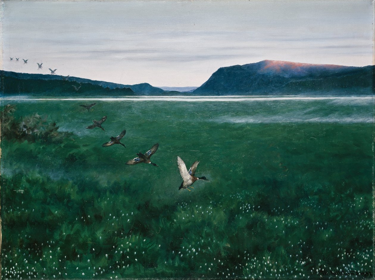 Dvanáct divokých kachen od Theodor Kittelsen