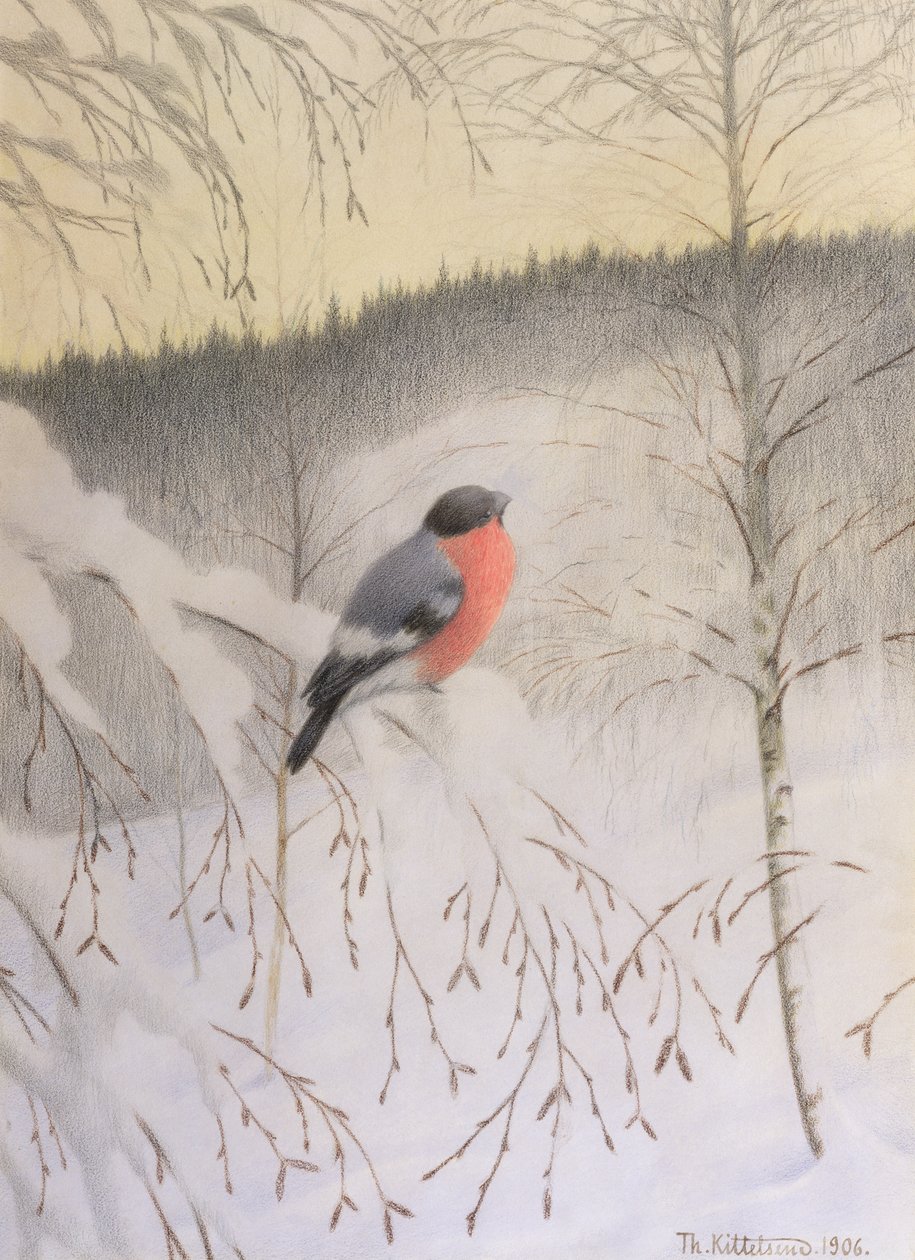 Hýl na Frosty Twig od Theodor Kittelsen