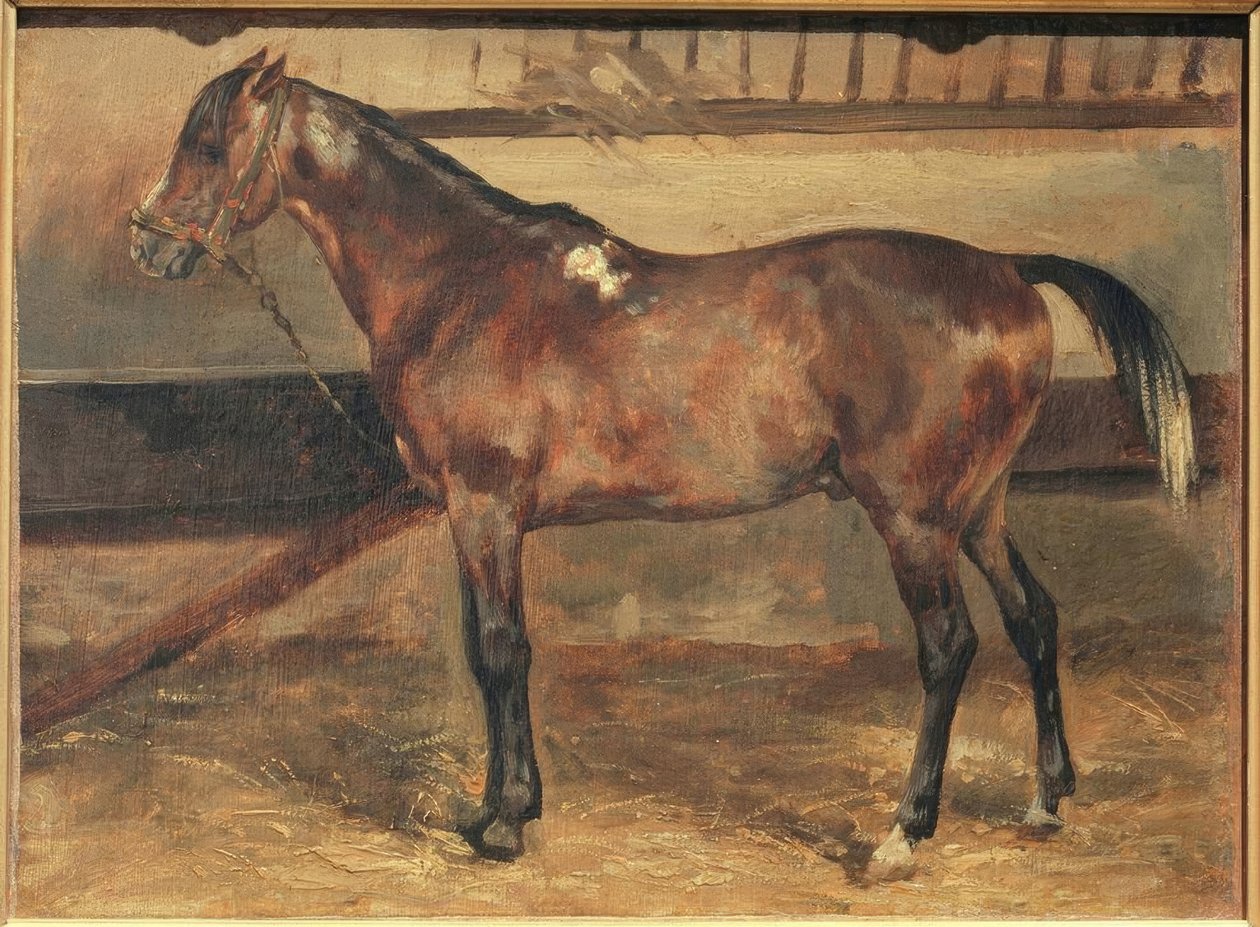 Hnědý kůň ve stáji od Theodore Gericault