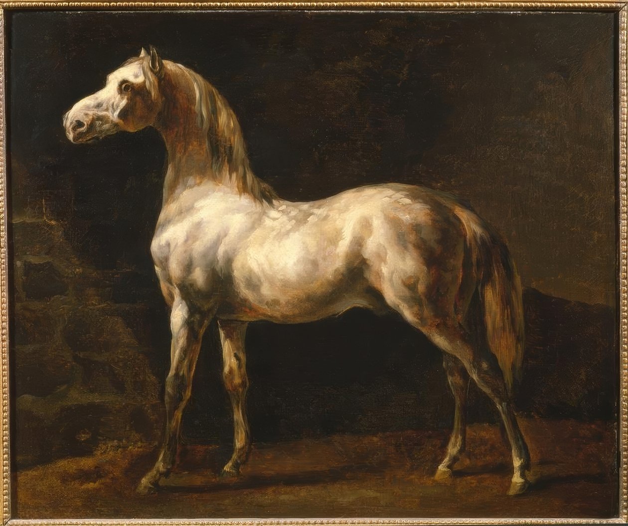 Bílý hřebec od Theodore Gericault