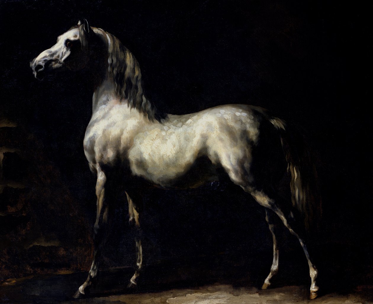 Studie Dapple Gray od Theodore Gericault
