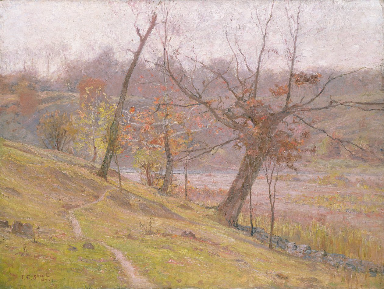 Květ hroznů od Theodore Clement Steele