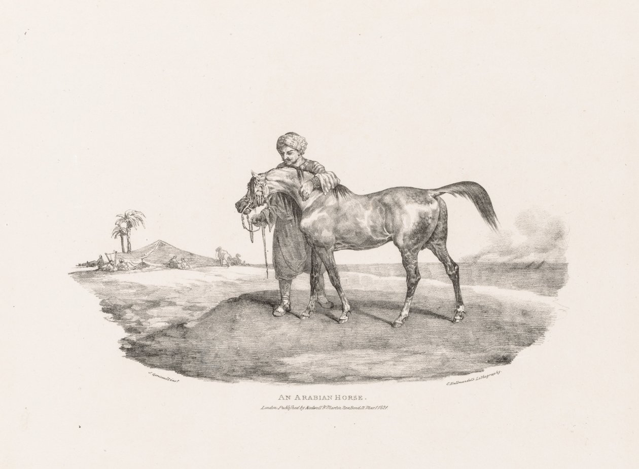 Arabský kůň od Theodore Gericault